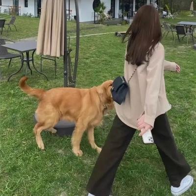 心太狂