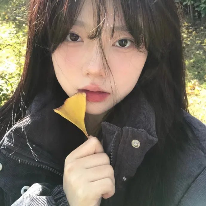 同志亦凡人第五季
